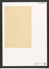 Diatomeae indet. Zeichnungen Sammlung Grunow (NHMW-BOT-W0373313)